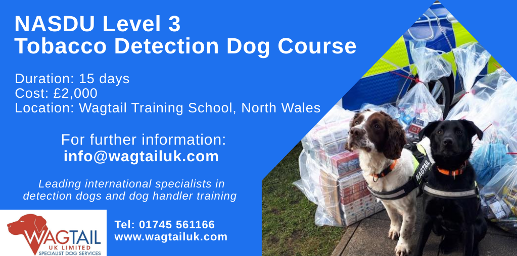 Dog handler training store schools