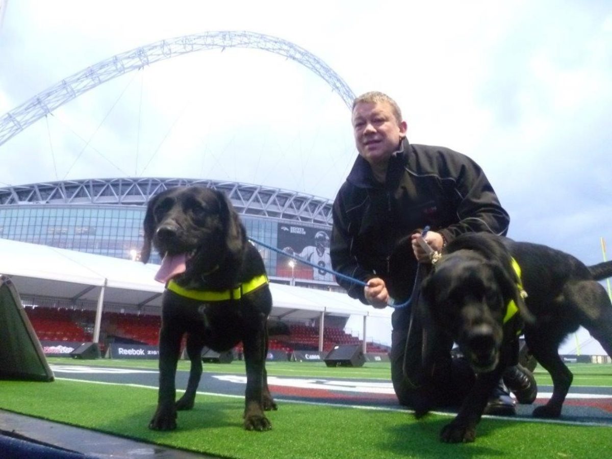 Explosives Detection Dog