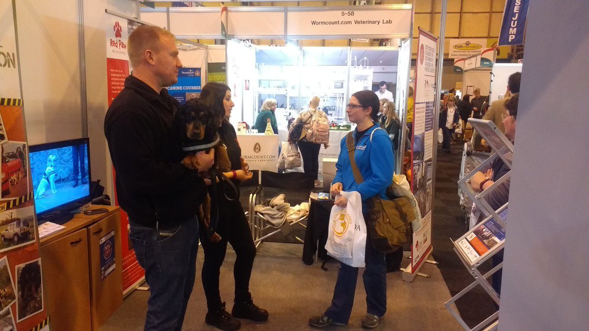 Rocky at Crufts